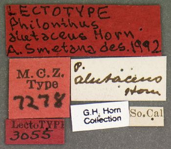 Media type: image;   Entomology 7278 Aspect: labels